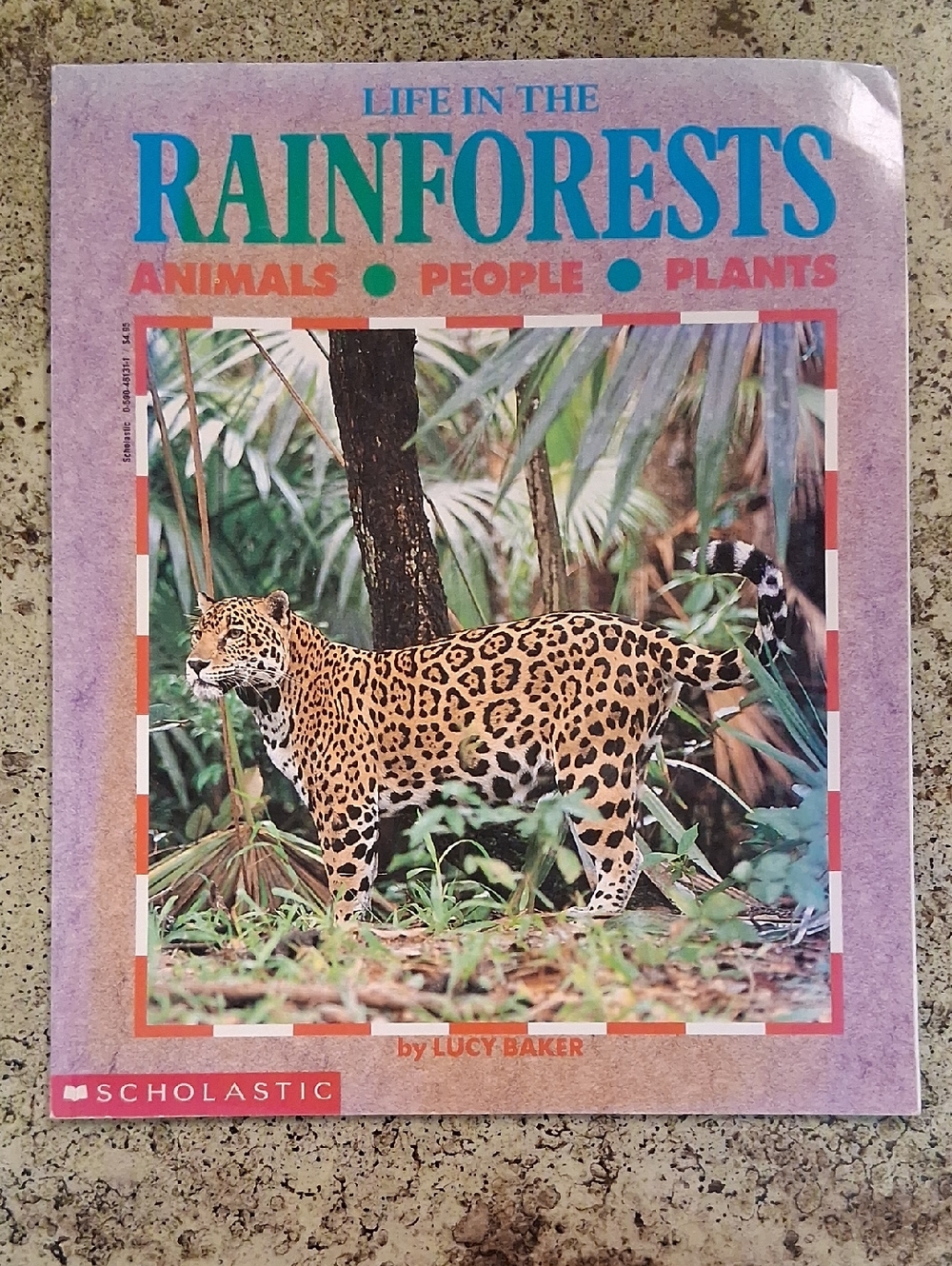 Life In The Rainforests Animals People Plants Children's Science Social Studies